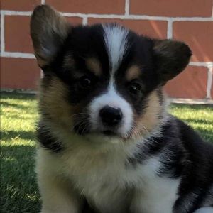 Meet your Posher, Arielle